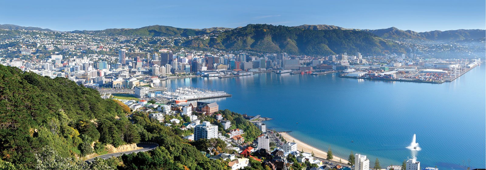 wellington1 wellington1