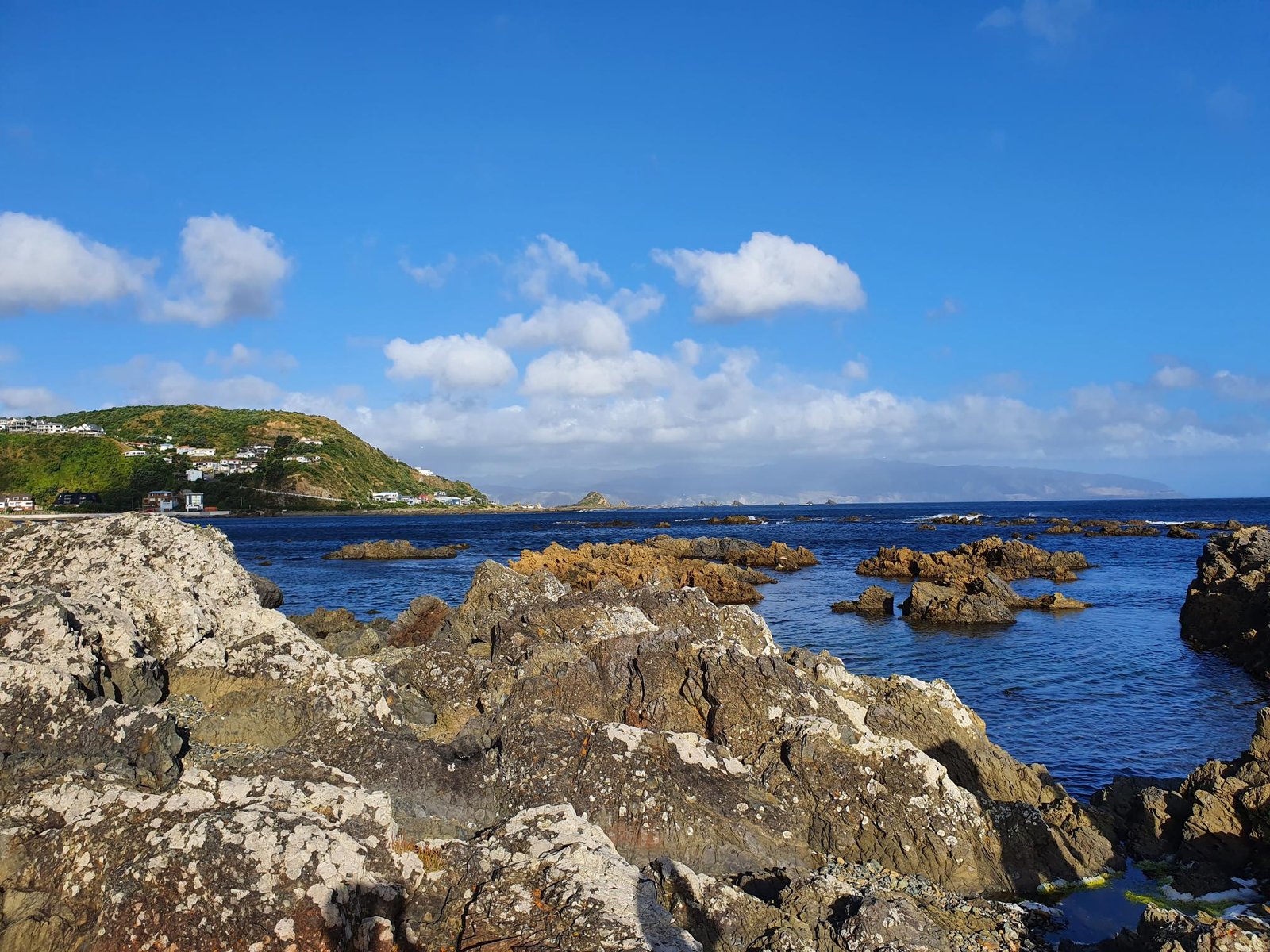 024b5e8a-f0e1-4afa-8732-967c5b0d5cce 024b5e8a-f0e1-4afa-8732-967c5b0d5cce