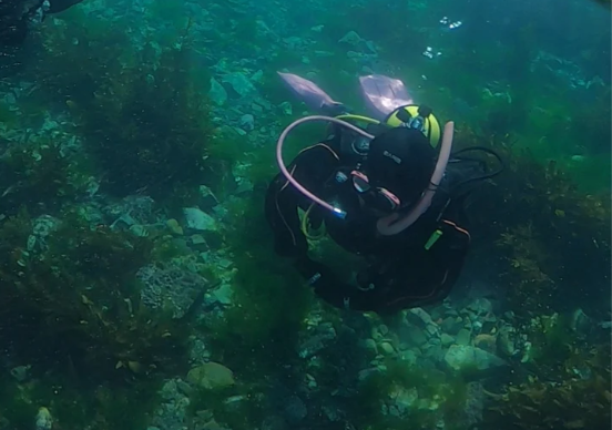 Screenshot 2026-03-03 152018 Screenshot 2026-03-03 152018