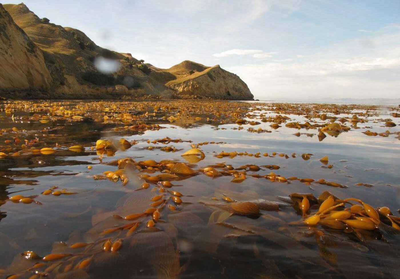 3 Photo Credit: Christopher Cornwall